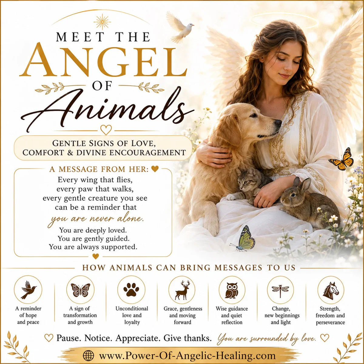🕊️ Meet the Angel of Animals. Gentle Signs of Love, Comfort & Divine Encouragement