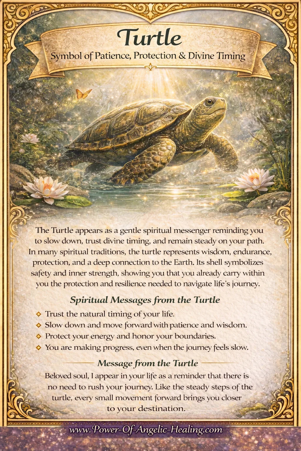 Turtle-Symbol of Patience, Protection & Divine Timing.